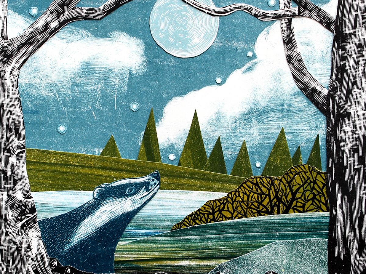 A Splash of Colour   Printmakers at Craft Festival Bovey Tracey